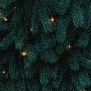 Meet your Posher, Audra